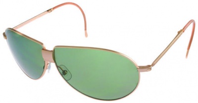 Hackett Sunglasses HSB 810 41P Gold