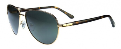Hackett Sunglasses HSB 823 40P Gold